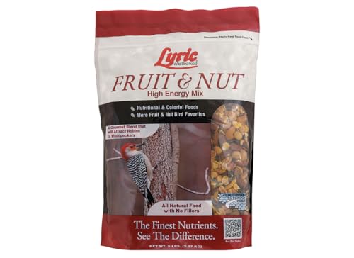 Fruit and Nut Wild Bird Seed for Outside Feeders (5 Pound (Pack of 1))
