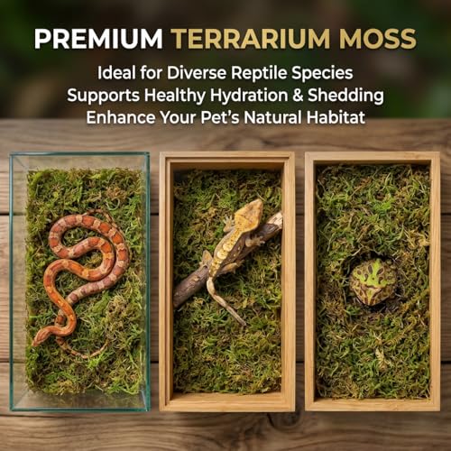 Sphagnum Moss for Reptiles (5 Ounces / Green)