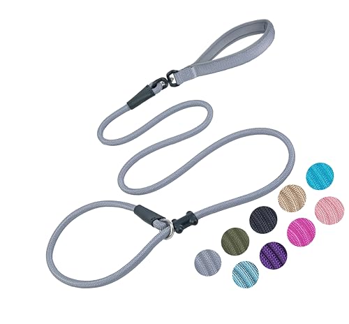 Slip Lead Dog Leash (1/2"×6ft / Grey)