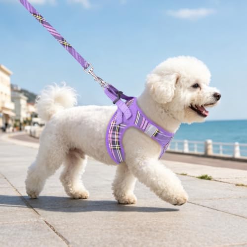 Dog Harness Collar and Leash Set No Pull for Small Medium Sized (Purple / XS (CHEST 13"-14.5"))