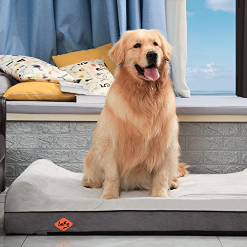 Orthopedic Dog Bed (50.0"L x 36.0"W x 10.0"Th / Dark Grey)