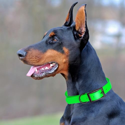 Biothane Waterproof Dog Collar Strong Coated Nylon Webbing with Black Hardware Odor (W1/2" x L9-12" / Tropical Green)