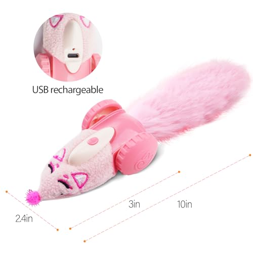 Automatic Cat Toys (Modern)