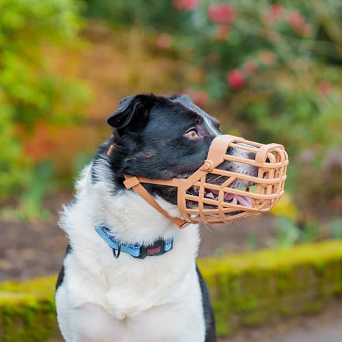 Classic Basket Dog Muzzle (9)