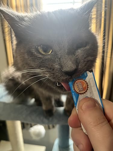 Kitty Licks Lickable Cat Treats Variety Pack