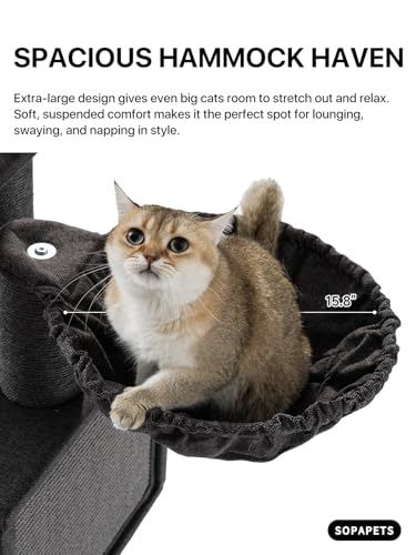 Maine Coon Cat Tree for Indoor Cats Large Adult (Black)