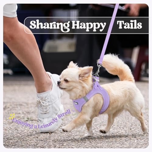 Dog Harness Small Sized and Leash Set (Light Purple / Xxs (chest: 12.4 - 14.2"))