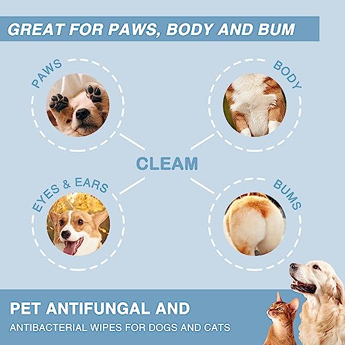 Antifungal and Antibacterial All Natural Wipes for Dogs & Cats