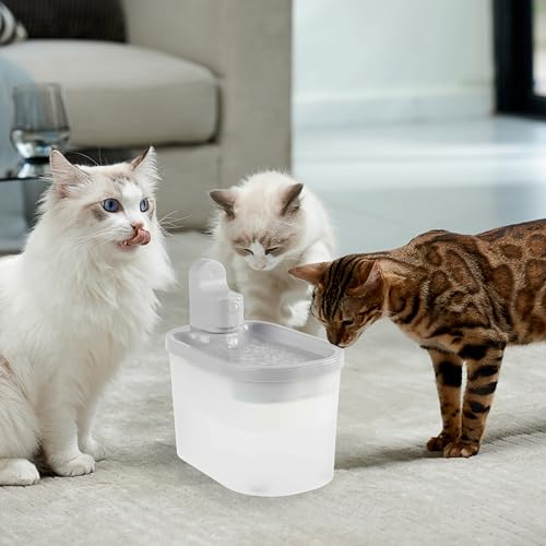 Cat Water Fountain (BPA-Free Plastic (ABS))
