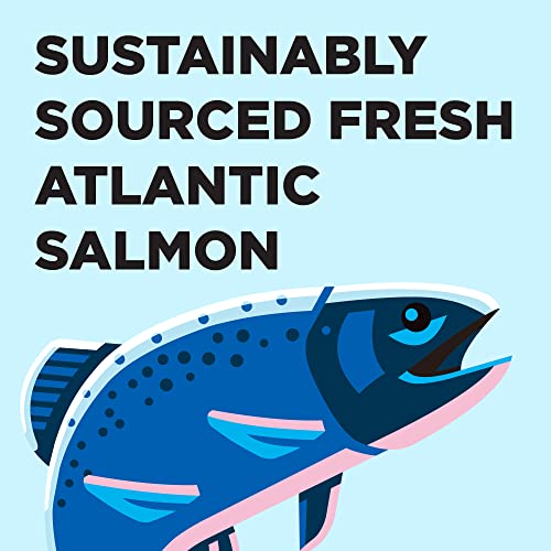 Liberty Dry Food Salmon Recipe for Cats