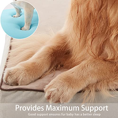 Orthopedic Memory Foam Dog Bed (Khaki Short Plush / Large-35"x 22" x 3")