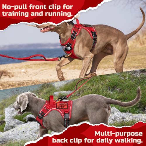 Tactical Dog Harness for Small (Red / Small)