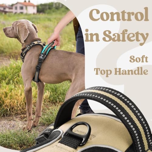 Dog Harness Small Sized (Small / Beige)