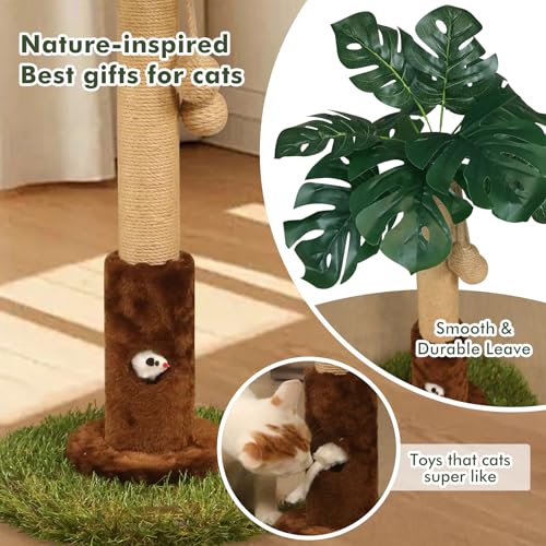25" Kitten Scratching Post (24.8-Brown / 24.8in)