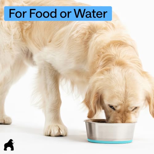 Dog Bowl Food Grade Stainless Steel Water Bowls (Turquoise / 2 Cup - Single Bowl)
