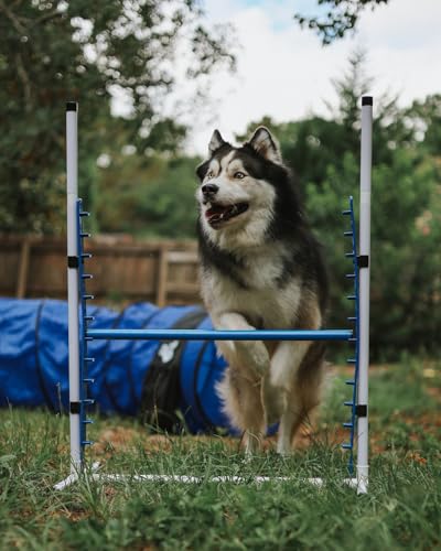 4 Pack Adjustable Dog Agility Bar Jumps w