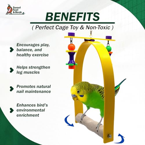 Whirly Bird Swing (X Large)