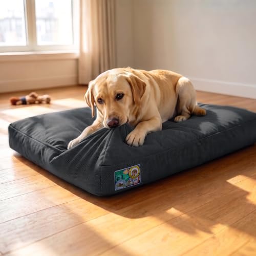 Chew Proof Indestructible Dog Bed (Grey / XL(42"x30"x4"))