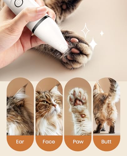 Cat Grooming Kit