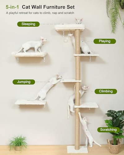 Cat Wall Shelves Set (Beige)