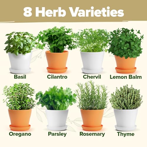 8 Herb Garden Kit