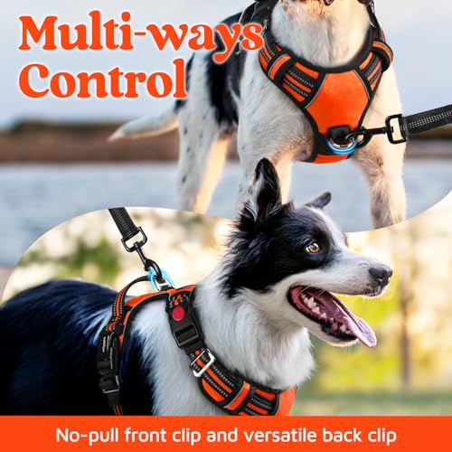 Dog Harness for Large (Orange / Large)