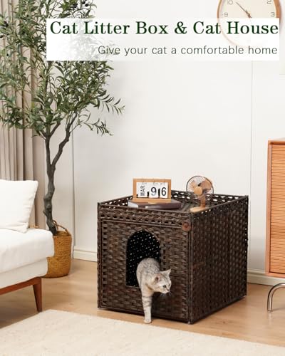 Cat Litter Box Enclosure (Brown / XL)
