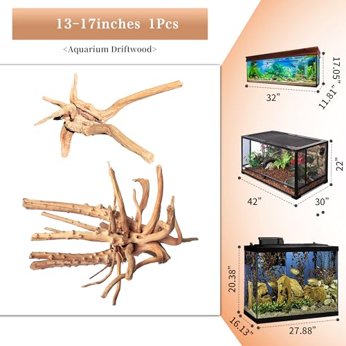 Natural Large Driftwood for Aquarium Decor Fish Tank Decor Reptile Decor (Spiderwood 13 to 17 Inch(Pack of 1))