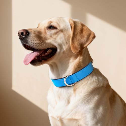 Soft Padded Dog Collars for Large Dogs (Blue / XL: Fit 17-23" Neck)