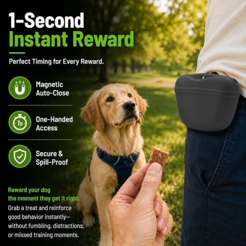 Silicone Dog Treat Pouch with Clicker Magnetic Closure Secure Clip (1 Pack / Dark grey)