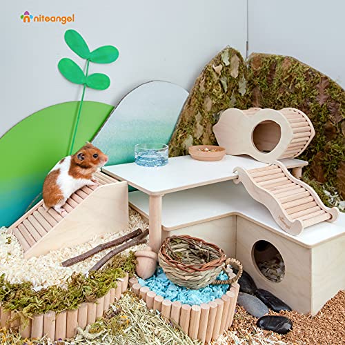 Hamster House w