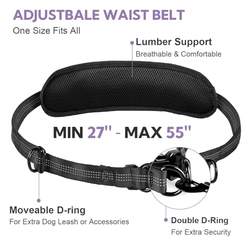 Hands Free Dog Leash for Two Dogs Walking (Black/Purple / Large)
