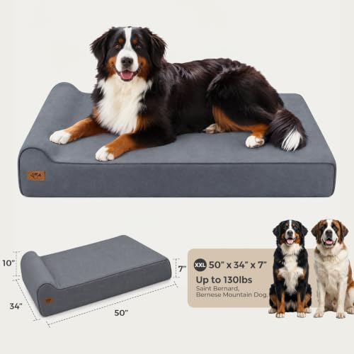 XXL 35D Memory Foam Dog Bed for Extra Large Dogs (XX-Large / Blue Grey)