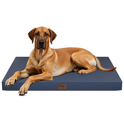 Jumbo Waterproof Orthopedic Dog Bed for Extra Large Dogs (Navy / 53.0"L x 36.0"W x 4.0"Th)