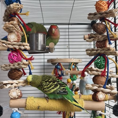 Bird Swings Toys for Parakeets Parrot (M)
