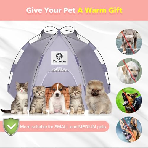 Yanvega Cat Tent Cat Beds for Indoor Cats Pet Supplies