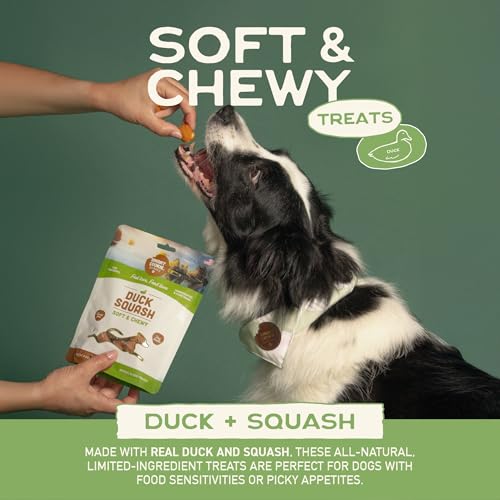 Healthy Soft Dog Treats (5 Ounce (Pack of 3))