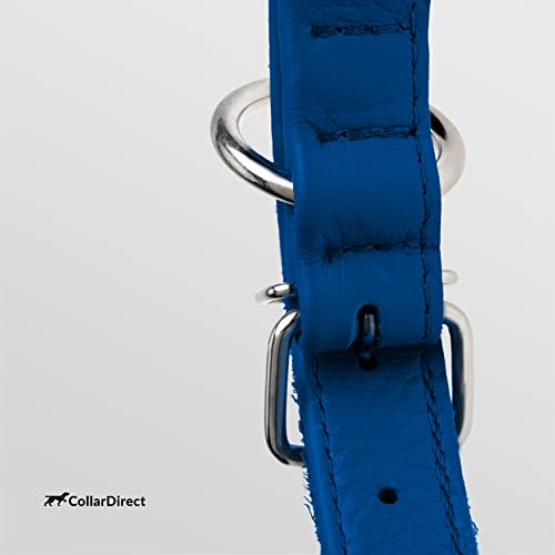Tangle Free Rolled Leather Dog Collar (Deep Blue / L)