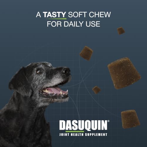 Nutramax Dasuquin Senior Joint Supplement for Large Dogs Soft Chews 84ct (Large Dog)