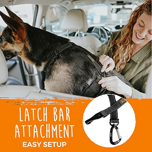 Dog Seat Belt For Car (Latch Bar Attachment)
