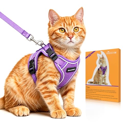 Cat Harness and Leash Set (H600 Pro Purple / Small (7-12lb))