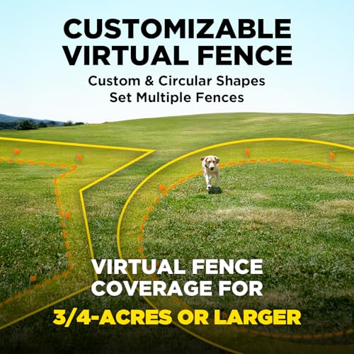 GPS Fence No Subscription (GPS Fence (No Flags))