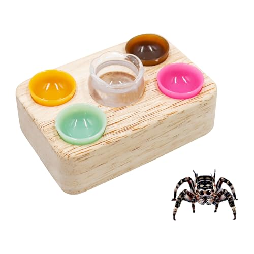 Jumping Spider Accessories