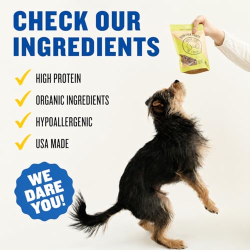 Winnie Lou Organic Jerky Dog Treats Made in The USA (1 Count (Pack of 2))