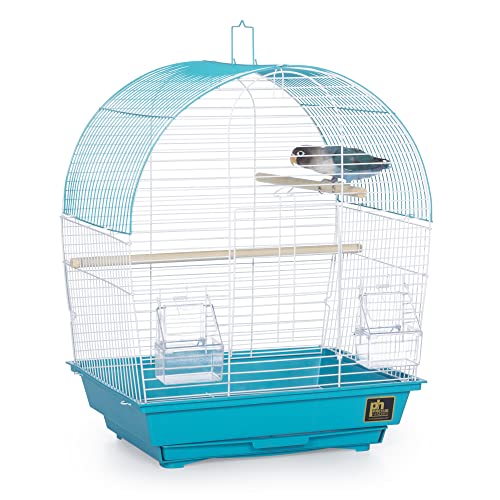 South Beach Dome Top Bird Cage (Dome - Teal / 10.6"L x 0.6"W x 18.1"H)