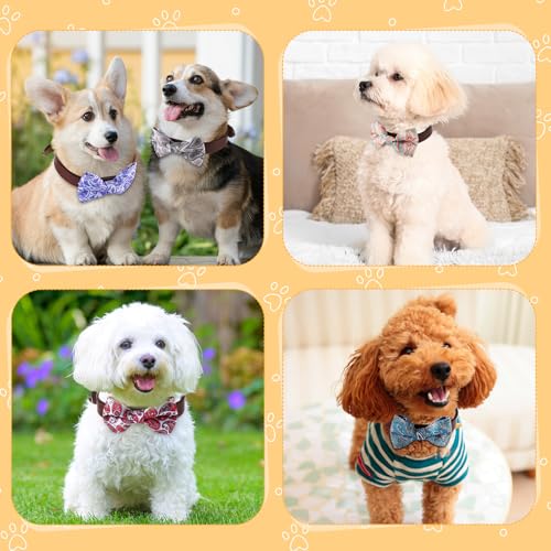 50 Pcs Paisley Dog Bow Ties