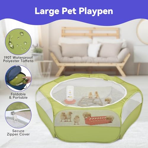 Chick Brooder Box for Chick Starter Kit (Z-Green + Red + Wood Color)