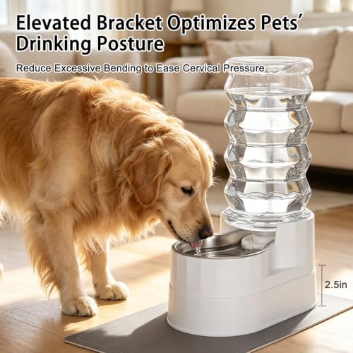 8L Elevated Dog Water Dispenser (8L / Bright White)