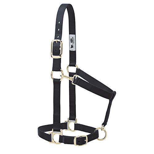 Nylon Horse Halter (Black / 1" Small Horse)