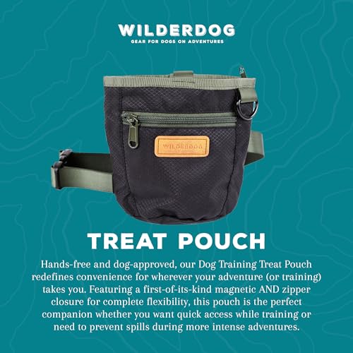 Dog Training Treat Pouch with Magnetic and Zipper Closure (Black)